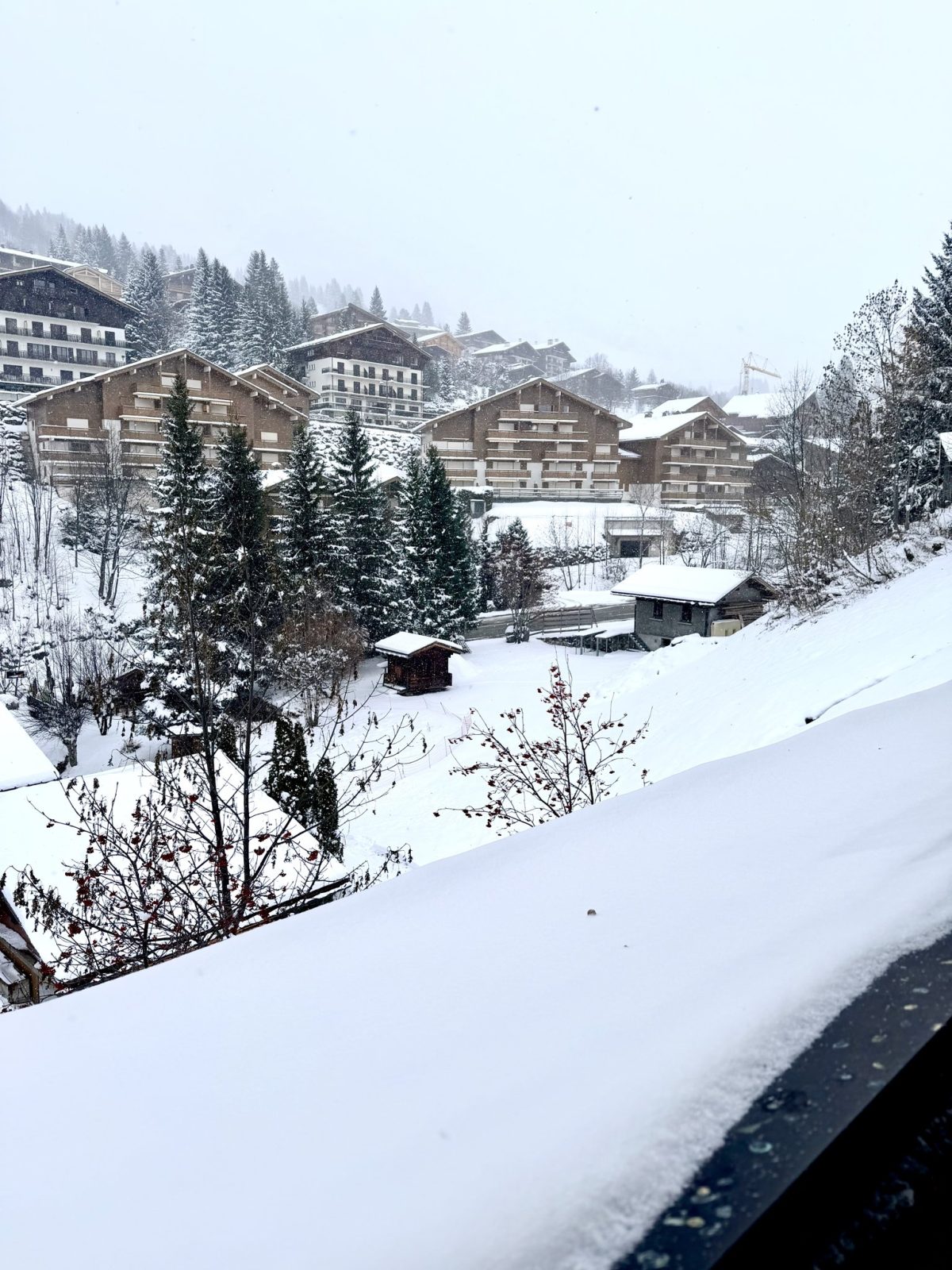 La Bonne Gamelle, photo 11 sur 17