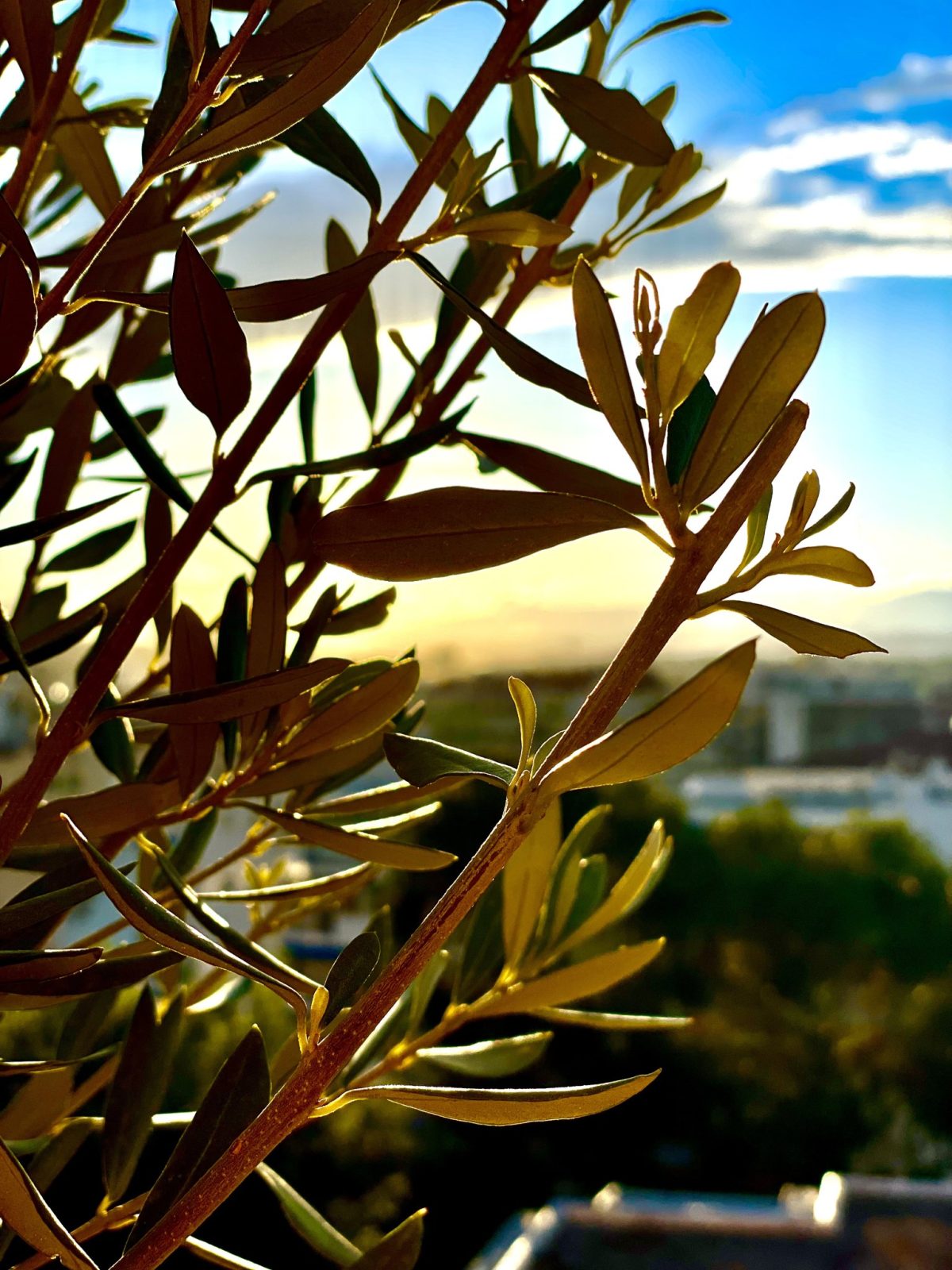 Rooftop Apartment, photo 30 sur 33